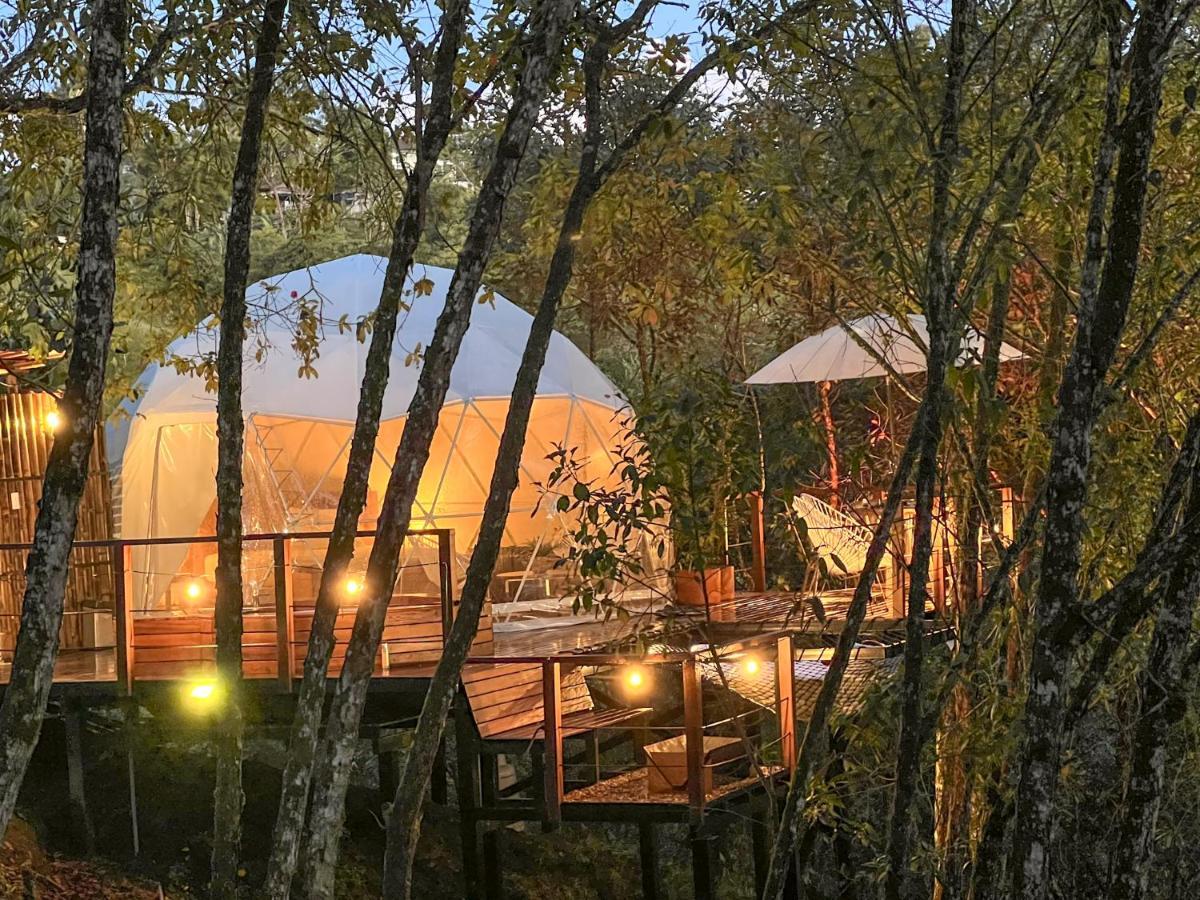 Solana Glamping Hotel Pereira Buitenkant foto